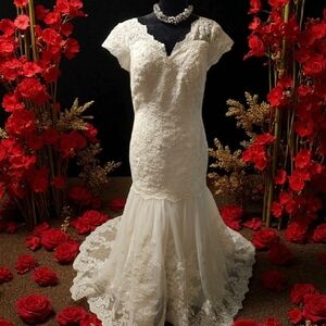 Elegant White Lace Gown
